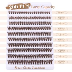 Brown Lash Individuals 200 Pcs Natural Wispy Brown Eyelashes Extension D Curl False Cluster Lashes Brown Fake Eyelashes Clusters