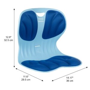 OLYDON Back Support Office Chair - Posture Correction & Lower Back Pain Relief - Ergonomic Back Support Pillow for Office Chair, Couch, Floor Seat and Work from Home