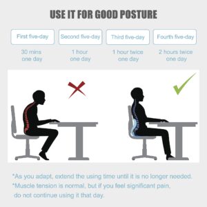 OLYDON Back Support Office Chair - Posture Correction & Lower Back Pain Relief - Ergonomic Back Support Pillow for Office Chair, Couch, Floor Seat and Work from Home