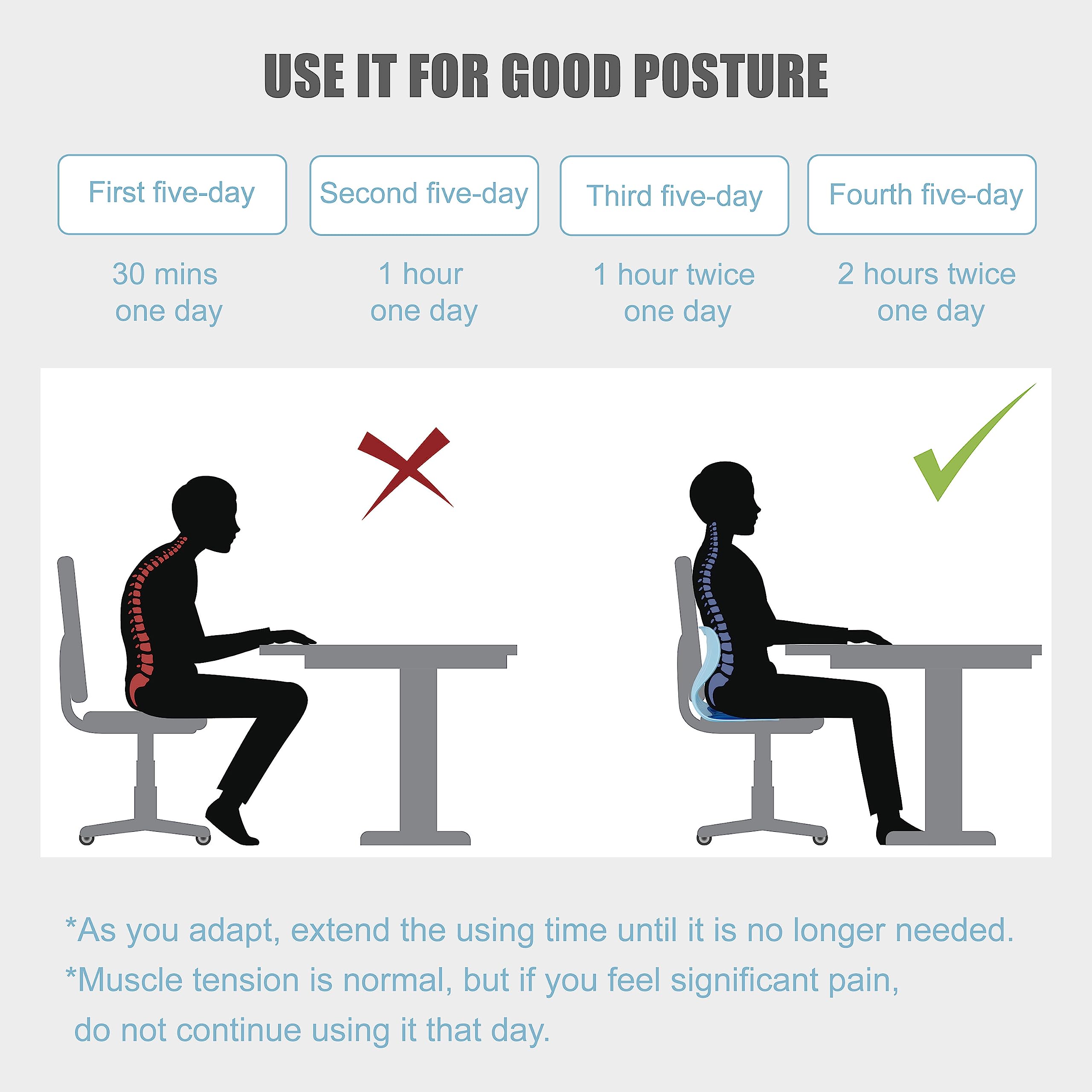 OLYDON Back Support Office Chair - Posture Correction & Lower Back Pain Relief - Ergonomic Back Support Pillow for Office Chair, Couch, Floor Seat and Work from Home