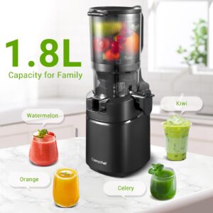 Juicer Machines, AMZCHEF 5.3-Inch Self-Feeding Masticating Juicer Fit Whole Fruits & Vegetables, Cold Press Electric Juicer Machines with High Juice Yield, Easy Cleaning, BPA Free, 250W