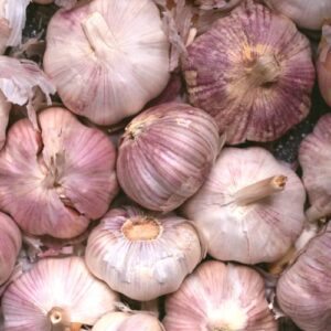 4 Mixed Garlic Bulbs for Planting Outdoors, Heirloom Garlic Bulbs