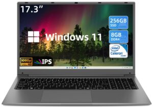 sgin 17.3 inch laptop computer, 256gb ssd 8gb ram, 1920 * 1080 ips fhd display, windows 11 laptop with quad-core intel celeron j4105 processors, 8000mah, usb 3.0, type-c, bluetooth 4.2, 2.4/5g wifi