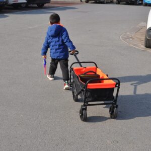 HJRTFLXC Folding cart That Does not Need to be Assembled Station Wagon, Grocery cart (Black+Blue Mini cart)