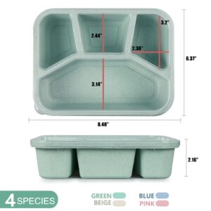 shopwithgreen 3 Pack Salad Food Storage Container + 8 Pack Bento Lunch Box, Food Prep Storage Containers with Lids, Reusable Microwave and Dishwasher Safe for School Work Travel Camp, BPA Free…