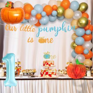 Little Pumpkin 1st Birthday Decorations, Pumpkin First Birthday Decorations for Autumn Fall 1st Birthday Party, Thanksgiving 1st Birthday, Our Little Pumpkin is Turning One Decorations