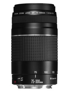 canon ef 75-300mm f/4-5.6 iii lens bundled with lens hood + lens pouch + 58mm uv filter + lens cap keeper + microfiber cleaning cloth (6 items)