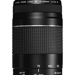 Canon EF 75-300mm f/4-5.6 III Lens Bundled with Lens Hood + Lens Pouch + 58mm UV Filter + Lens Cap Keeper + Microfiber Cleaning Cloth (6 Items)