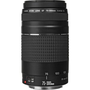 Canon EF 75-300mm f/4-5.6 III Lens Bundled with 58mm UV Filter + Lens Cap Keeper + Microfiber Cleaning Cloth (4 Items)