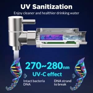 Membrane Solutions UV Countertop Water Filtration System, Stainless Steel 2.25G Gravity Water Filter with 3 Pack 0.1-Micron UF Filters, for Home, Camping, and RVing (U3P)