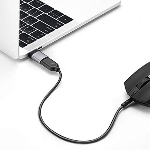 BoxWave Cable Compatible with Innioasis G1 - USB-C to A PortChanger (2-Pack), USB Type-C OTG USB Portable Keychain - Slate Black