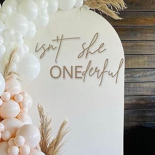 Isn't She Onederful First Birthday Party Theme Backdrop Sticker - Newborn Onderful Birthday Girl, Photography Background for 1st Birthday Baby Party Decoration(isnt she Onederful)