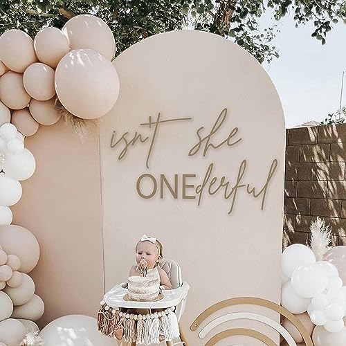 Isn't She Onederful First Birthday Party Theme Backdrop Sticker - Newborn Onderful Birthday Girl, Photography Background for 1st Birthday Baby Party Decoration(isnt she Onederful)