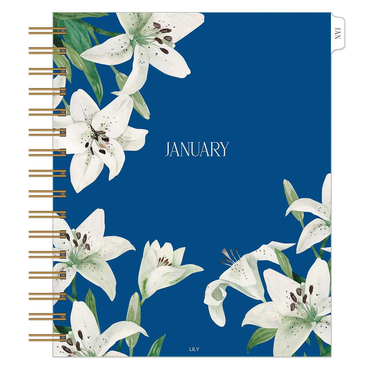 FranklinCovey - La Vie en Rose One Page Per Day Wire-Bound Planner (Jan 2024 - Dec 2024)