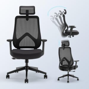 Rongbuk Ergonomic Executive Computer Desk Chair with 3D Armrests, 2D Headrest, Swivel Task Chair with Lumbar Support, Sturdy Base with Wheels, Mesh Office Chair, White