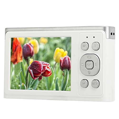 Portable Compact Camera, 2.88 Inch Antishake IPS Screen Digital Camera with Hand Rope for Traveling