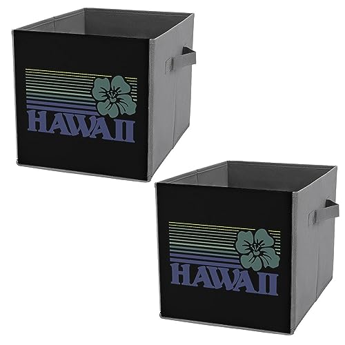 Hawaii Storage Bins with Handles Cube Closet Organizers and Storage Boxes Folding Basket for Shelves 2PCS