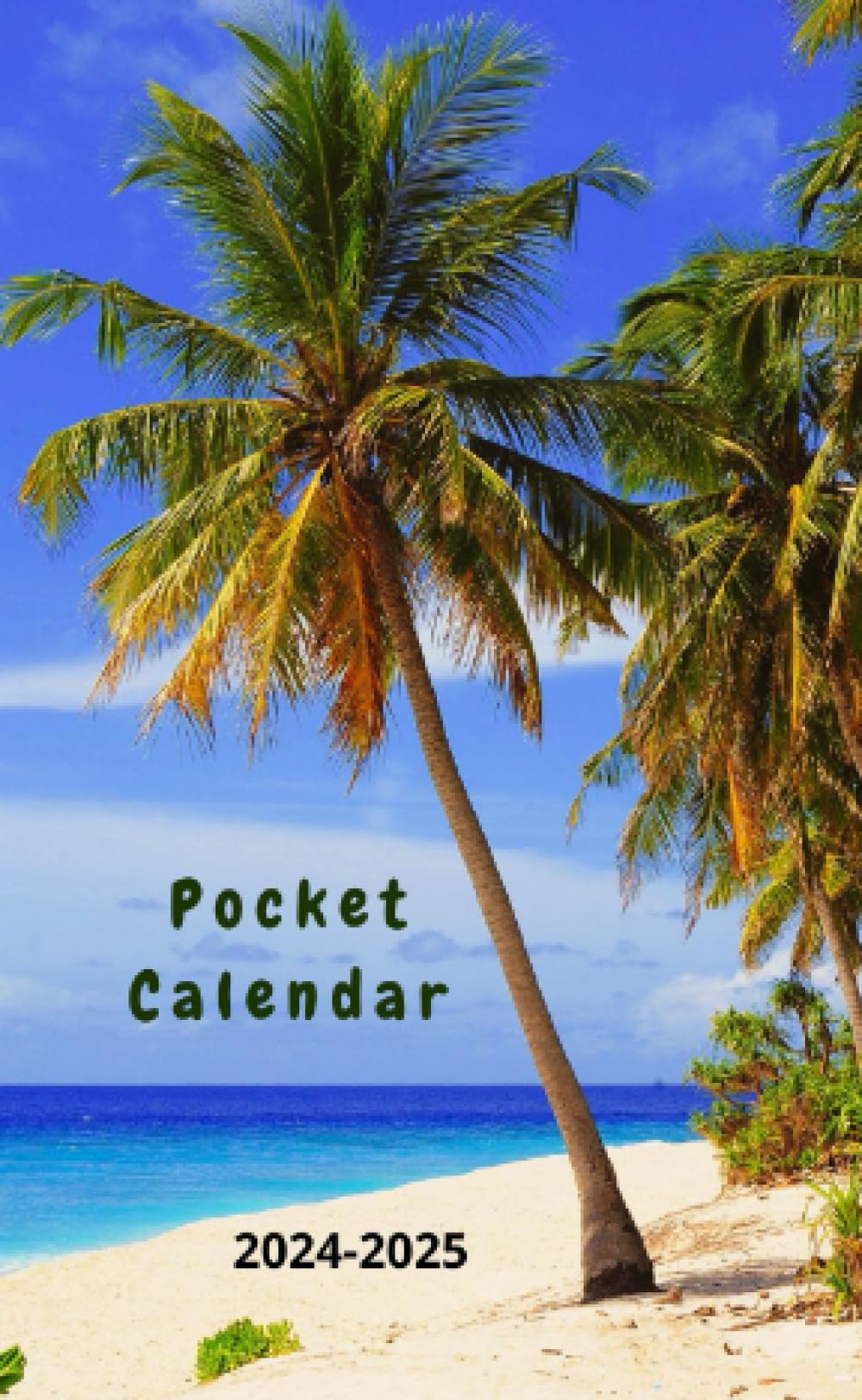 Pocket Calendar 2024-2025 For Purse: 2-Year Schedule Monthly Organizer from January 2024 to December 2025 Small Size