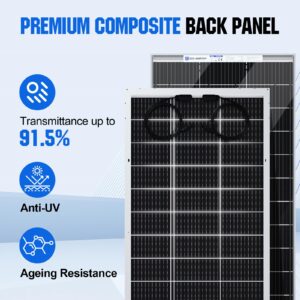 ECO-WORTHY 400W Bifacial Solar Panel 2pcs 195 Watt 12 Volt Monocrystalline Solar Panel Module Off Grid PV Power for Home, Camping, Boat, Shed Farm, RV