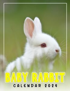 baby rabbit calendar 2024: cute monthly wall & desk planner for a playful and organized year - large and adorable design