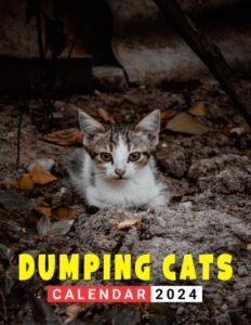 dumping cats calendar 2024: funny feline antics at a glance - wall & desk monthly planner with large artful images