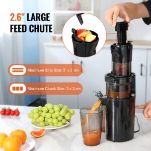 VEVOR Masticating Juicer, Cold Press Juicer Machine, Juice Extractor Maker with High Juice Yield, Easy to Clean with Brush, for High Nutrient Fruits Vegetables (Standard)