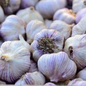 Garlic Bulb (2 Pounds), Fresh Siberian HARDNECK Garlic Bulb for Planting and Growing Your OWN Garlic OR Eating