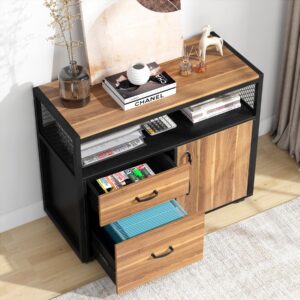 Tribesigns Modern File Cabinet with Drawers for Letter-Size, Lockable lateral Filing Cabinet Printer Stand with Door& Caster for Home Office.Desk Not Included