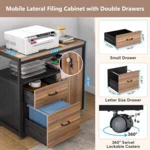 Tribesigns Modern File Cabinet with Drawers for Letter-Size, Lockable lateral Filing Cabinet Printer Stand with Door& Caster for Home Office.Desk Not Included