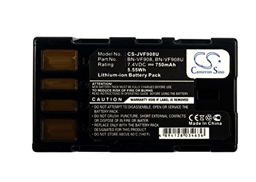 FYIOGXG Cameron Sino Battery for JVC GZ-X900, GZ-X900EK, GZ-X900U 750mAh