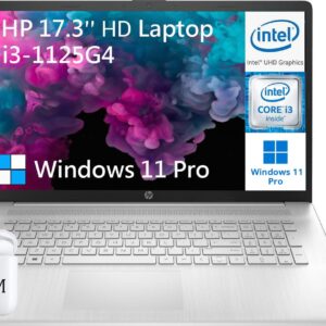 HP 17.3 Inch Business Laptop, 11th Gen Intel Core i3-1125G4, 16GB RAM, 1TB SSD, Windows 11 Pro, Wi-Fi, Bluetooth, Webcam, HDMI, Natural Silver, PCM