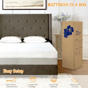 MATERESSES Full Size Mattress 10 Inch Memory Foam Mattress Medium Firm Mattress in a Box, Pressure Relief, CertiPUR-US Certified, Fiberglass Free, White Grey