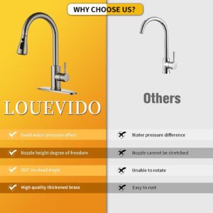 LOUEVIDO Kitchen Faucet with Pull Down Sprayer Brushed Nickel, High Arc Single Handle Sink Deck Plate, Commercial Modern rv Stainless Steel Faucets, Grifos De Cocina