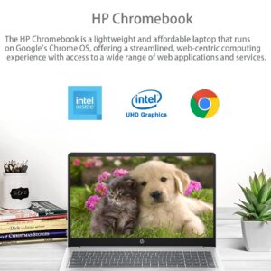 HP Chromebook 15.6 Inch Laptop for College Students, Intel 4-Core Processor N200 (Beat i5-8250U), 8GB DDR5 RAM, 192GB Storage (64GB eMMC + 128GB SD Card), Chrome OS, UHD Graphics, Natural Silver, PCM