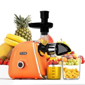 cold press juicer, fezen juicer machines vegetable and fruit masticating juicer high juice yield/two modes/quiet motor with reverse function/dishwasher safe, ideal gift for home