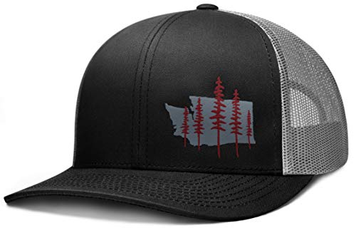 LARIX GEAR Washington State Forest (Black Graphite Hat) Crimson Gray Logo