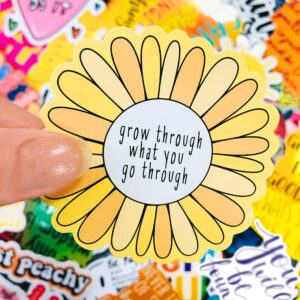 200Pcs Motivational Stickers, Inspirational Quote Stickers for Adults Students Teachers Employees, Vinyl Cute Stickers for Water Bottles Laptop Scrapbook