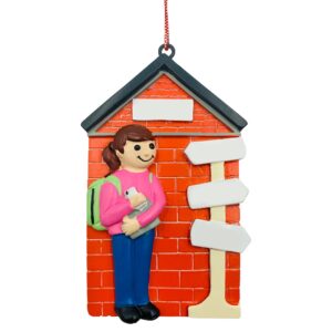 Personalized 1st Year College High School Freshman Christmas Ornament (Girl Brunette)