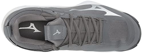 Mizuno Women's Wave Momentum 2 | Women's Indoor Volleyball Shoe | Grey | US Women's 8