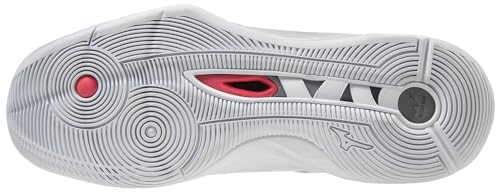 Mizuno Men's Wave Momentum 2 Volleyball Shoe | Indoor Court Shoe | White/Silver | US Men's 11.5