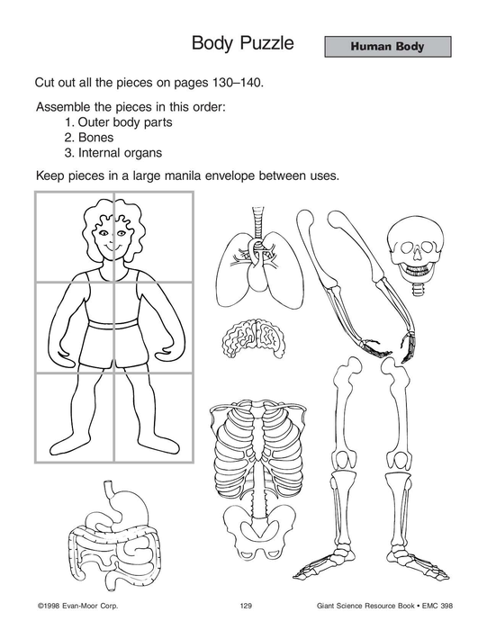 Human Body Puzzle