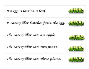 very hungry caterpillar sequencing sentences