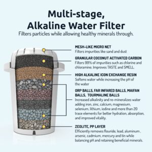 Invigorated Water pH Recharge 3F Countertop Alkaline Water Filter + PH001 3-Pack Replacement Water Filters Bundle