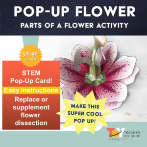 parts of a flower stem activity | distance learning