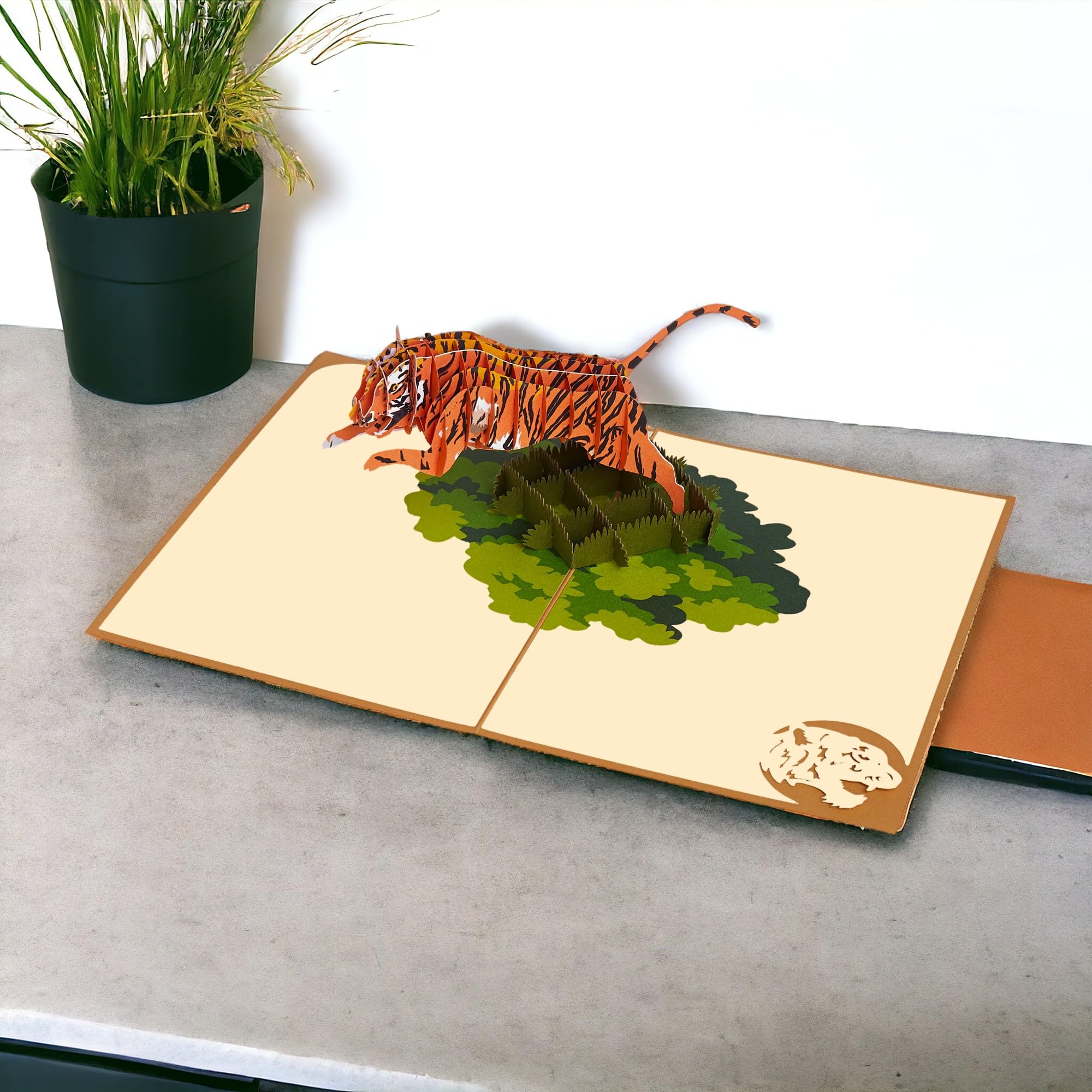 Rykamia Tiger Pop Up Card, Blank, with Envelope, 3D, Delightful Illustrations, Suitable for Any Occasion, Protective Poly Bag Included