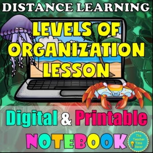 levels of organization digital lesson