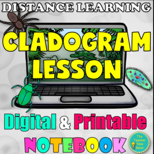 cladogram digital lesson