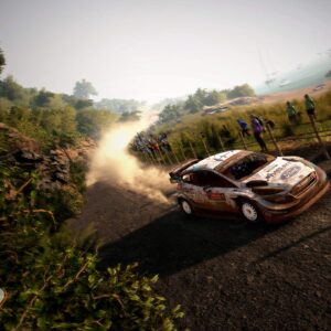 WRC 9 (PS5)