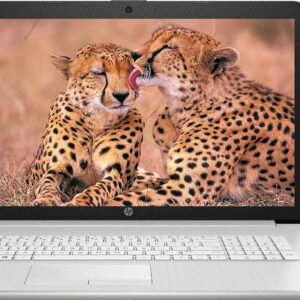hp Newest 17.3" FHD Business and Student Laptop, 11th Gen Intel Quad-Core i5-1135G7 up to 4.2GHz, 16GB DDR4 RAM, 512GB SSD, WiFi, Webcam, HDMI, Bluetooth, Windows 10 with GalliumPi Accessories