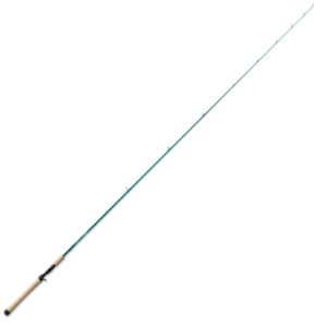 st. croix rods mojo inshore casting rod